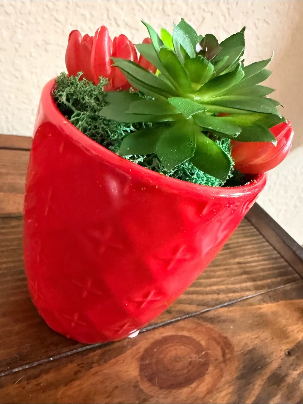 Red Ceramic Succulent Planter